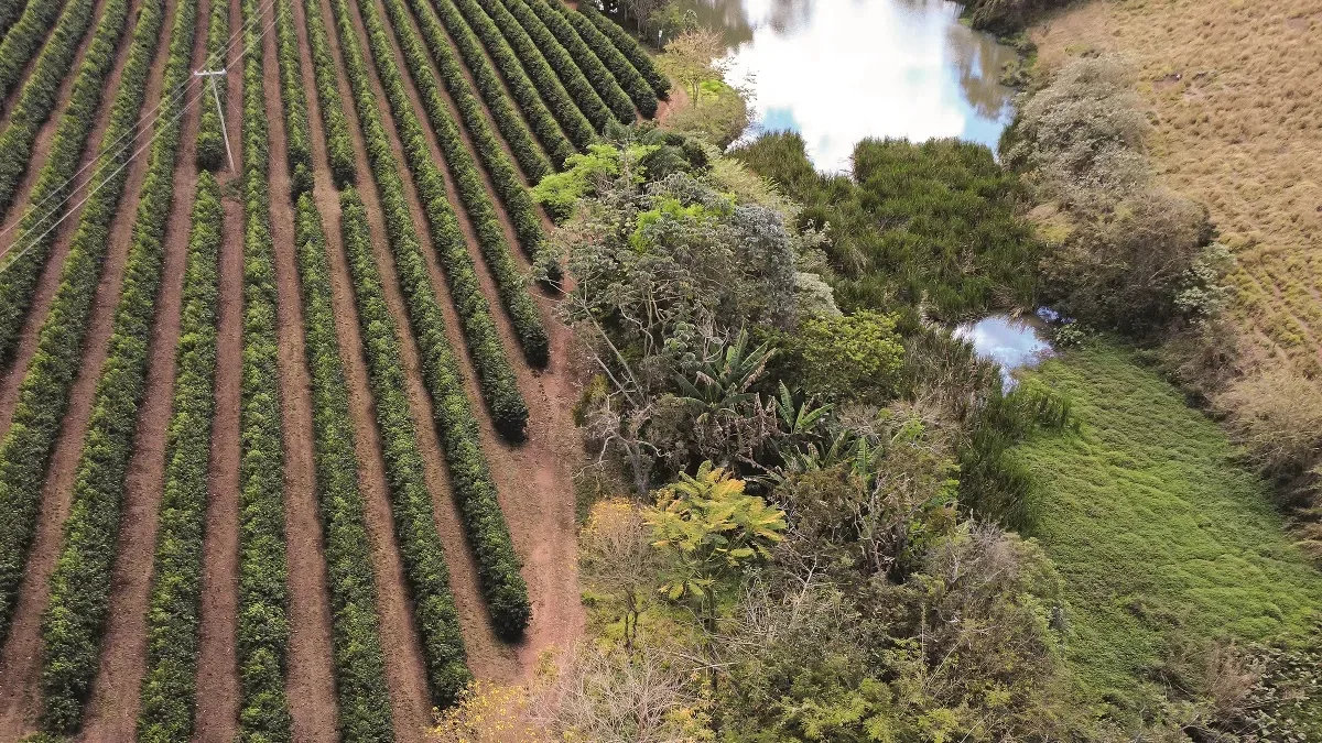 Prêmio Fazenda Sustentável reconhece propriedades de três categorias em 2026