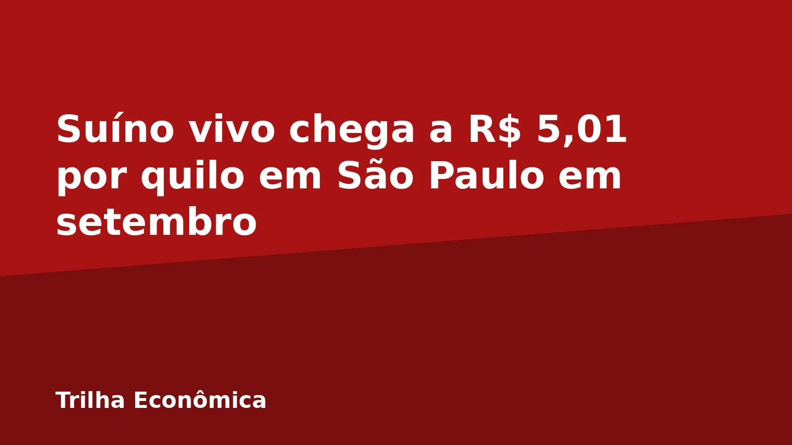 Suíno vivo chega a R$ 5,01 por quilo em São Paulo em setembro