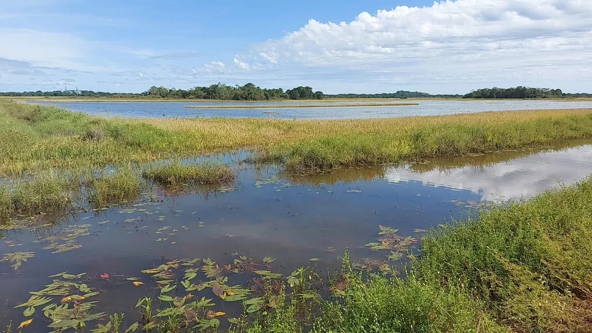Governo reduz cobertura do Proagro enquanto seguro rural segue restrito