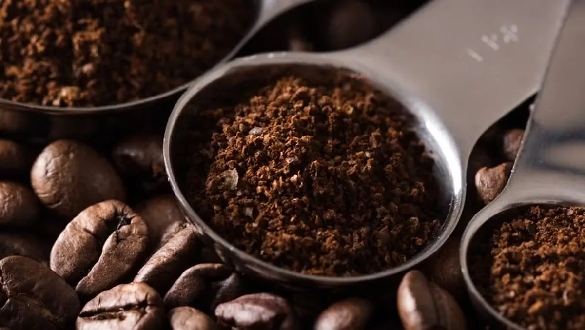 Vendas de café aceleram no segundo quadrimestre, mas clima mantém projeção em aberto