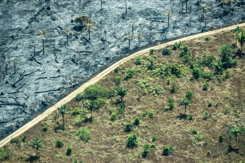 Clima é importante para 91% dos eleitores, mas fica fora das prioridades principais