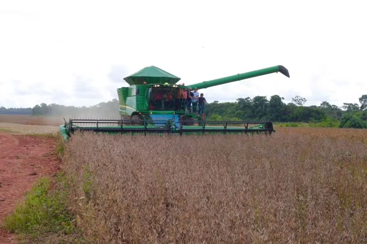 Soja mais que dobra área plantada na região de Santarém em sete anos
