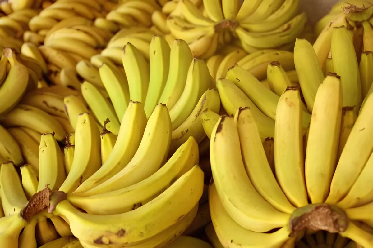 Alagamentos deixam bananais submersos e restringem oferta no Vale do Ribeira