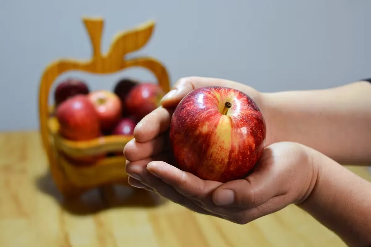 Gala e Fuji: diferenças entre as maçãs mais produzidas no Brasil