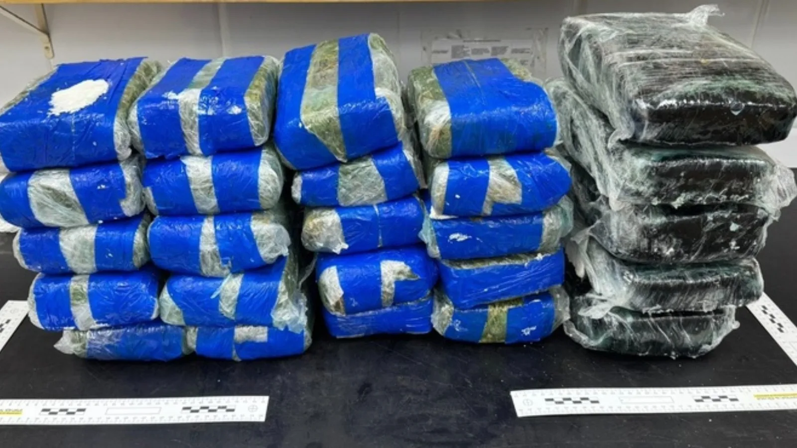 PF prende passageira com 34,6 quilos de maconha no aeroporto de Fortaleza