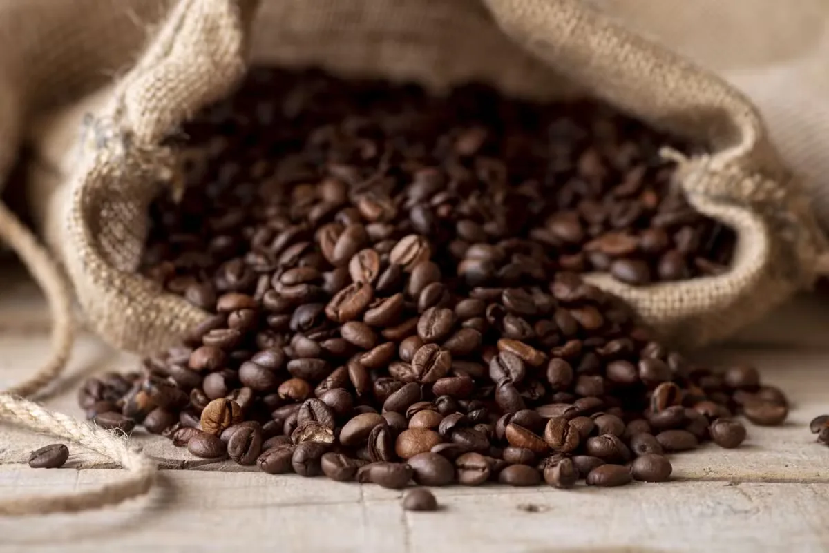 Brasil exporta volume recorde de café em agosto, com receita de US$ 1,331 bilhão