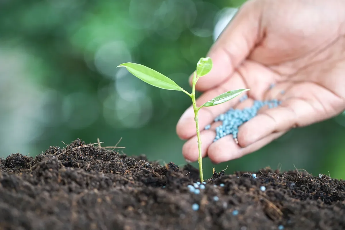 Índice de fertilizantes recua 7% e melhora poder de compra do produtor