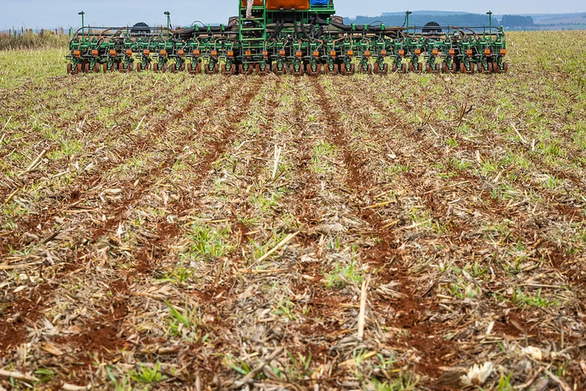 Imea alerta para perda de umidade após início da soja em Mato Grosso
