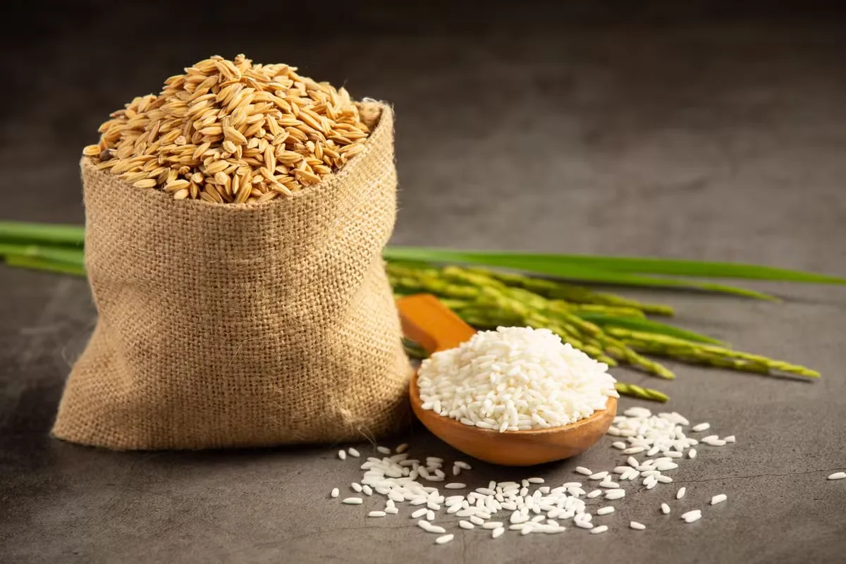 Governo autoriza compra de arroz e milho para estoques e pequenos criadores