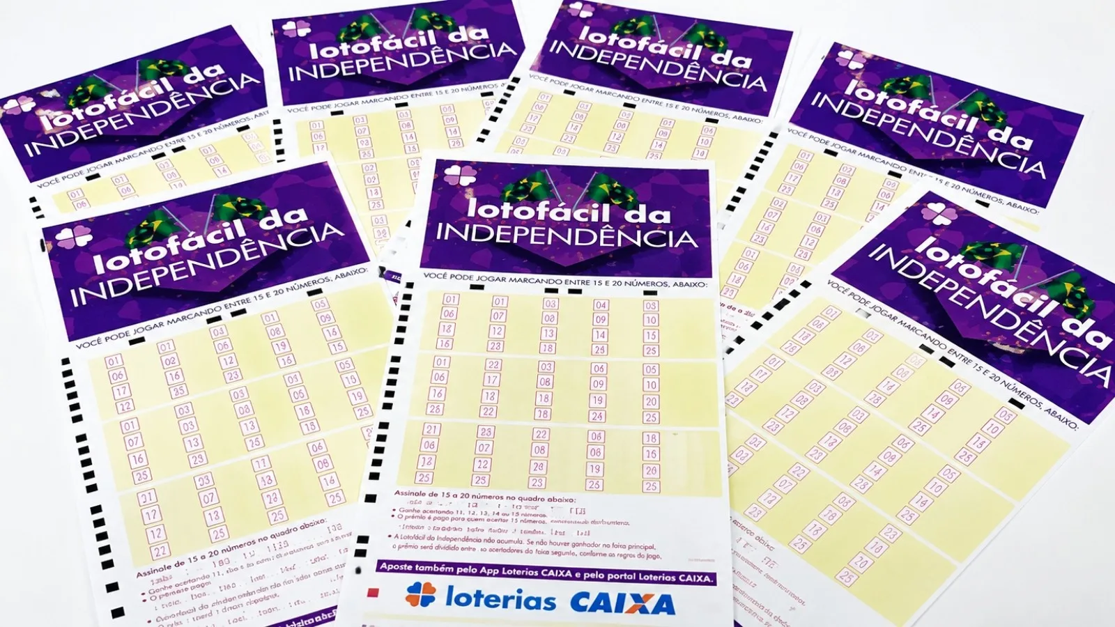 Bolões do Ceará levam prêmio principal da Lotofácil da Independência