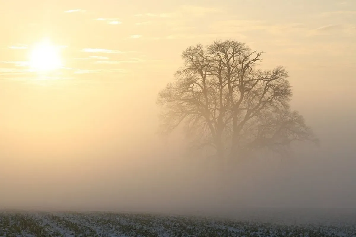 Frente fria derruba temperaturas e traz geada no feriado