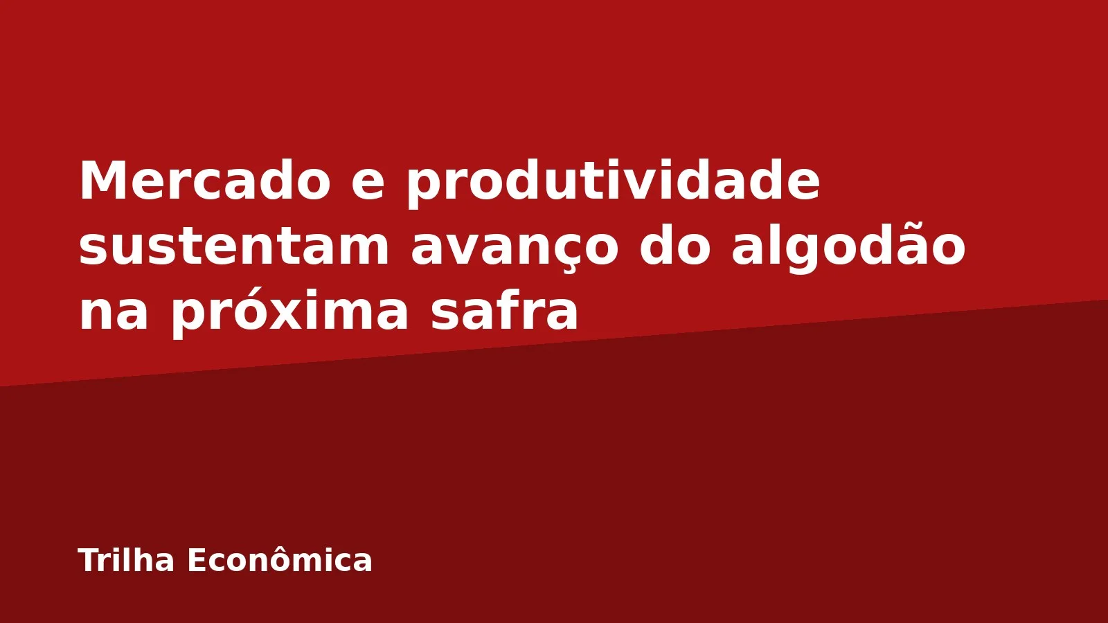Mercado e produtividade sustentam avanço do algodão na próxima safra