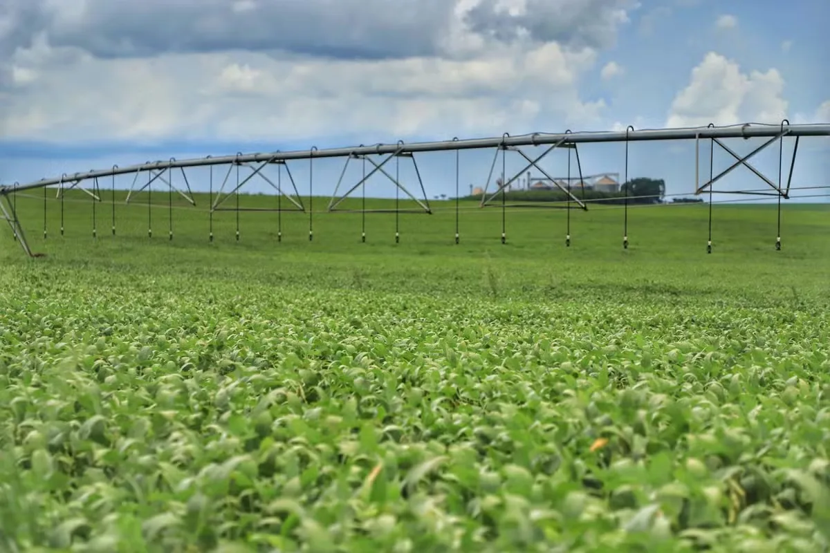 Plantio brasileiro de soja supera média histórica no início da safra 2026/27