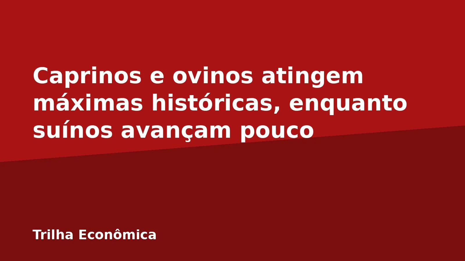 Caprinos e ovinos atingem máximas históricas, enquanto suínos avançam pouco