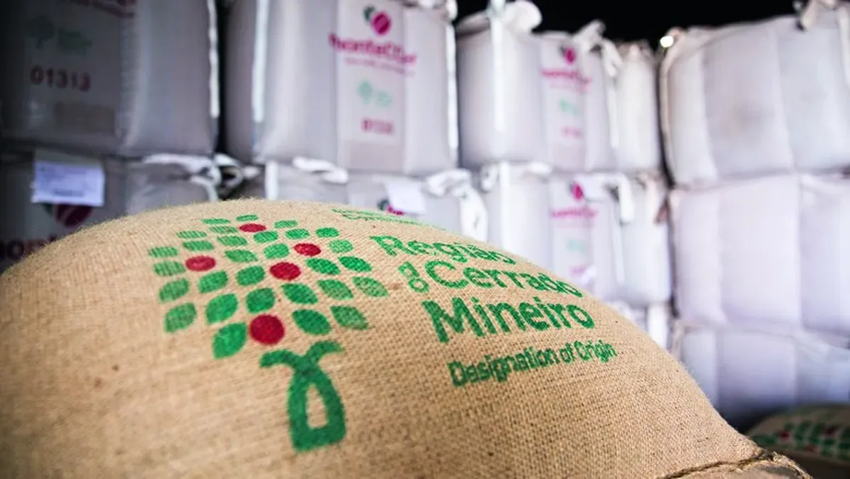 Café do Cerrado Mineiro chega a 99% da colheita após chuvas