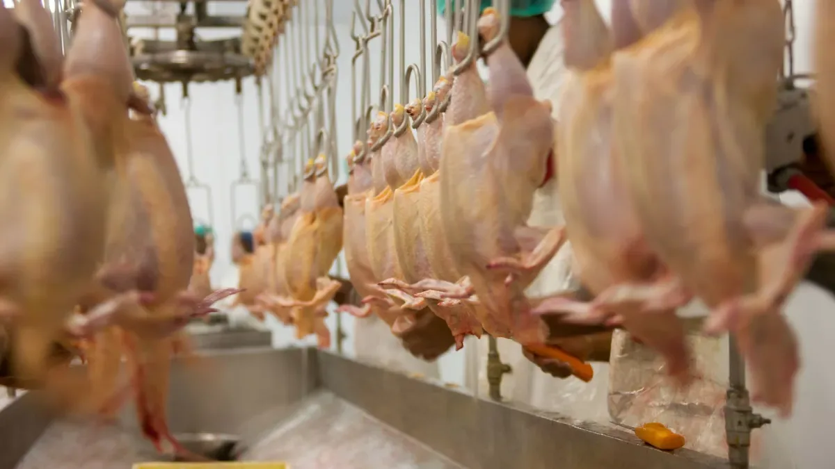 Relatório europeu libera avanço do Brasil para voltar a exportar aves e mel