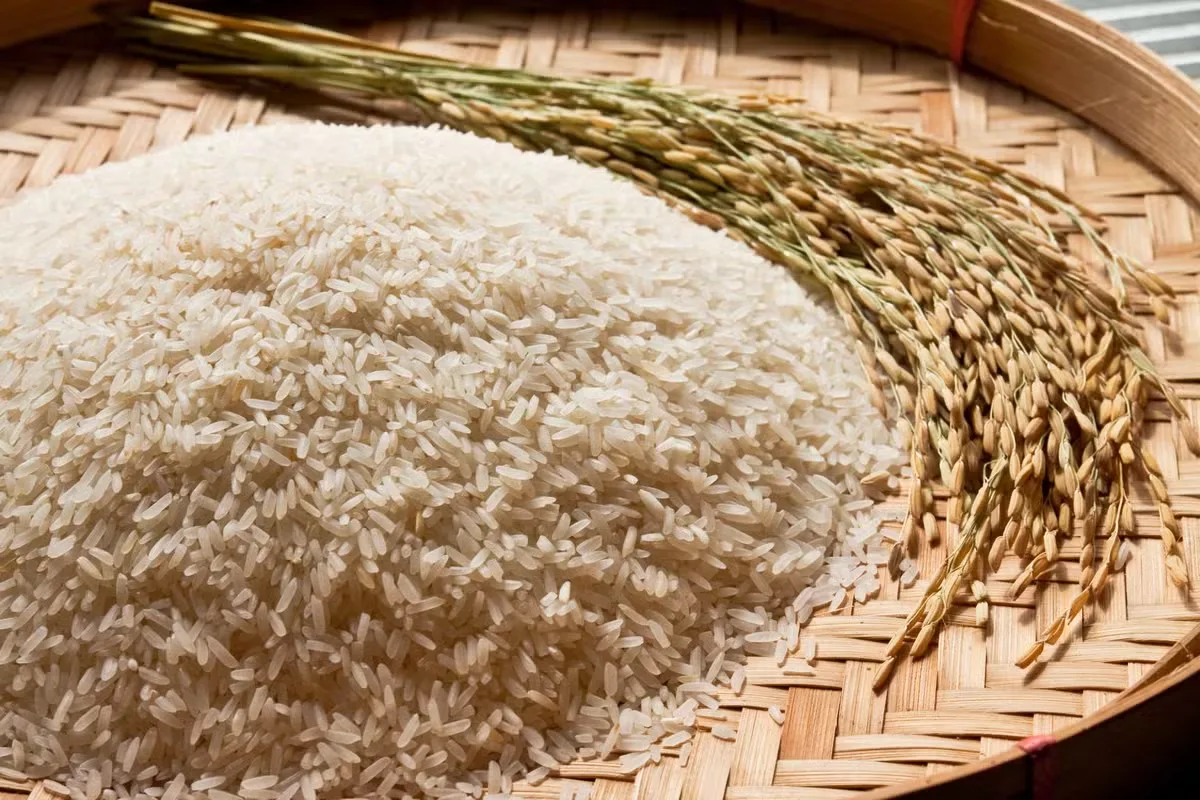 Arroz gaúcho chega a R$ 81,90 com disputa entre exportadores e indústrias