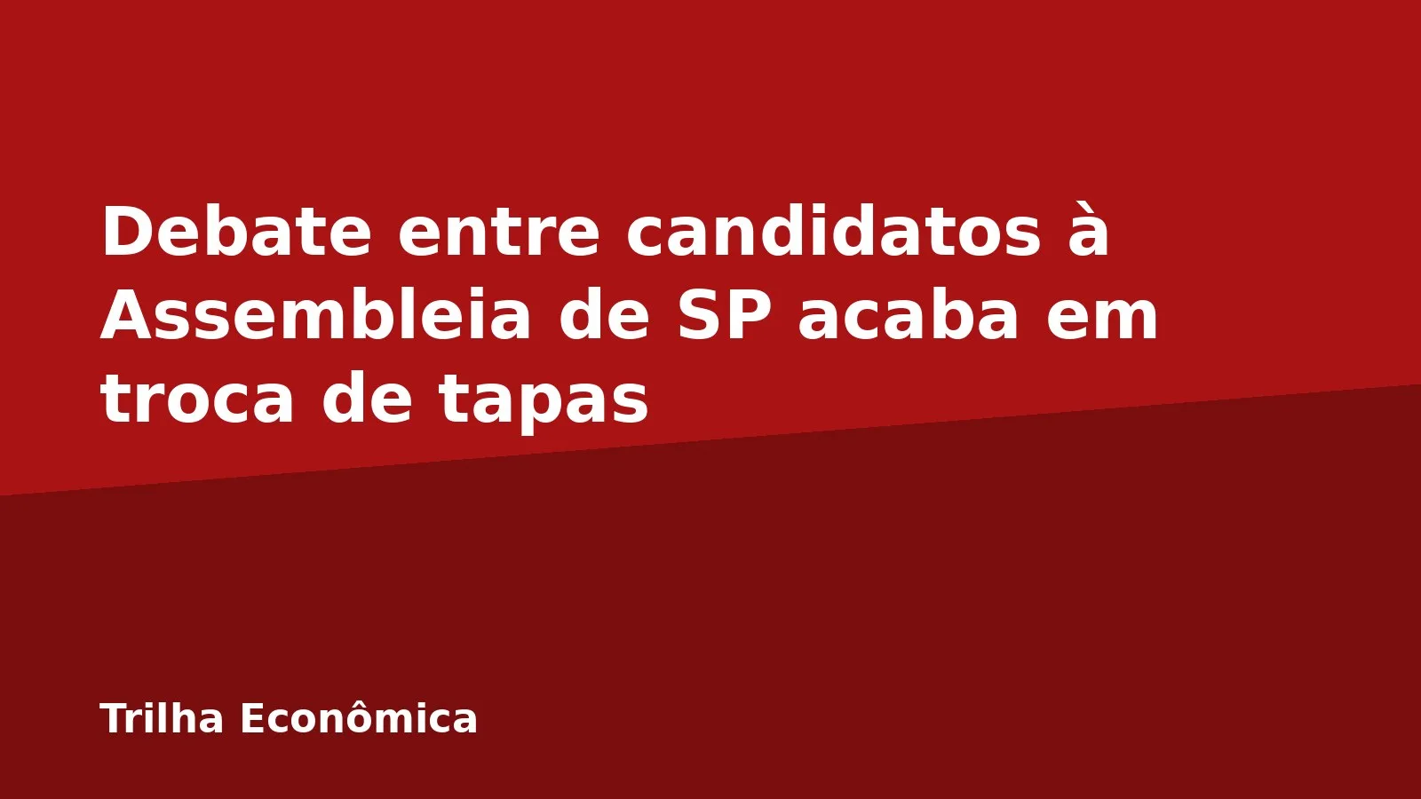 Debate entre candidatos à Assembleia de SP acaba em troca de tapas