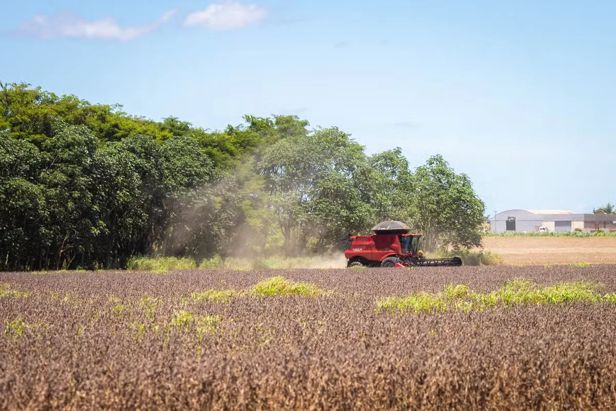 Nova lei vincula seguro rural ao crédito e amplia estrutura do Fundo Catástrofe