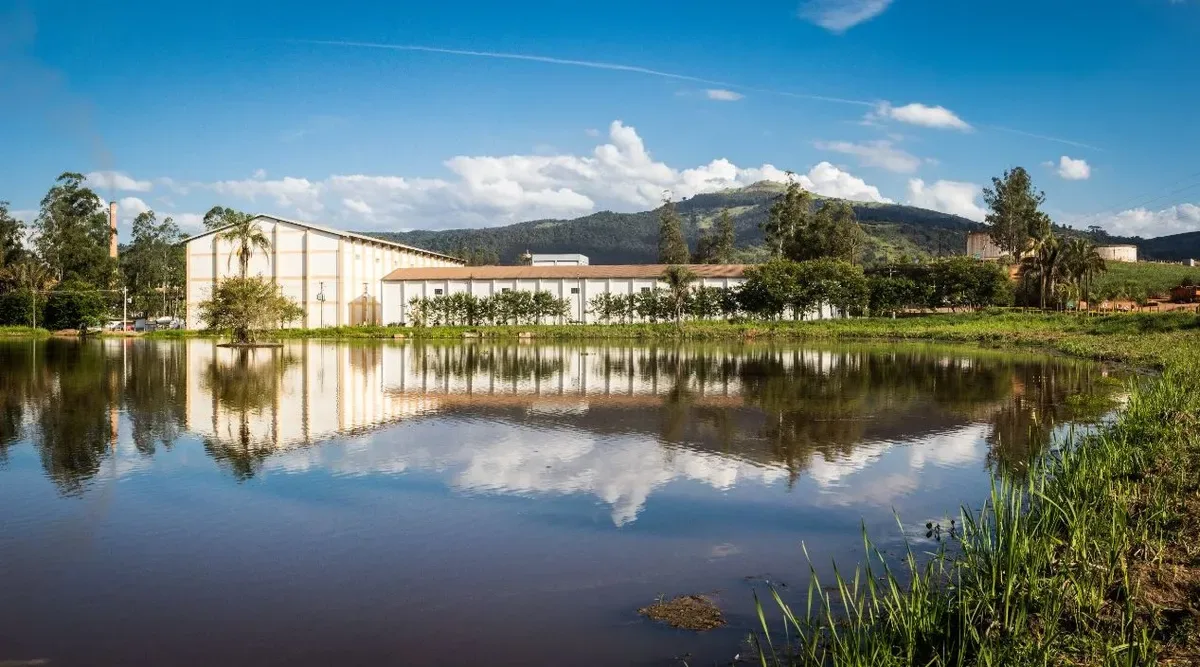 Adecoagro vende Usina Monte Alegre e concentra operações em MS