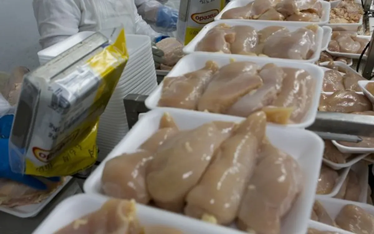 Controles de antimicrobianos abrem caminho para volta do frango brasileiro à UE
