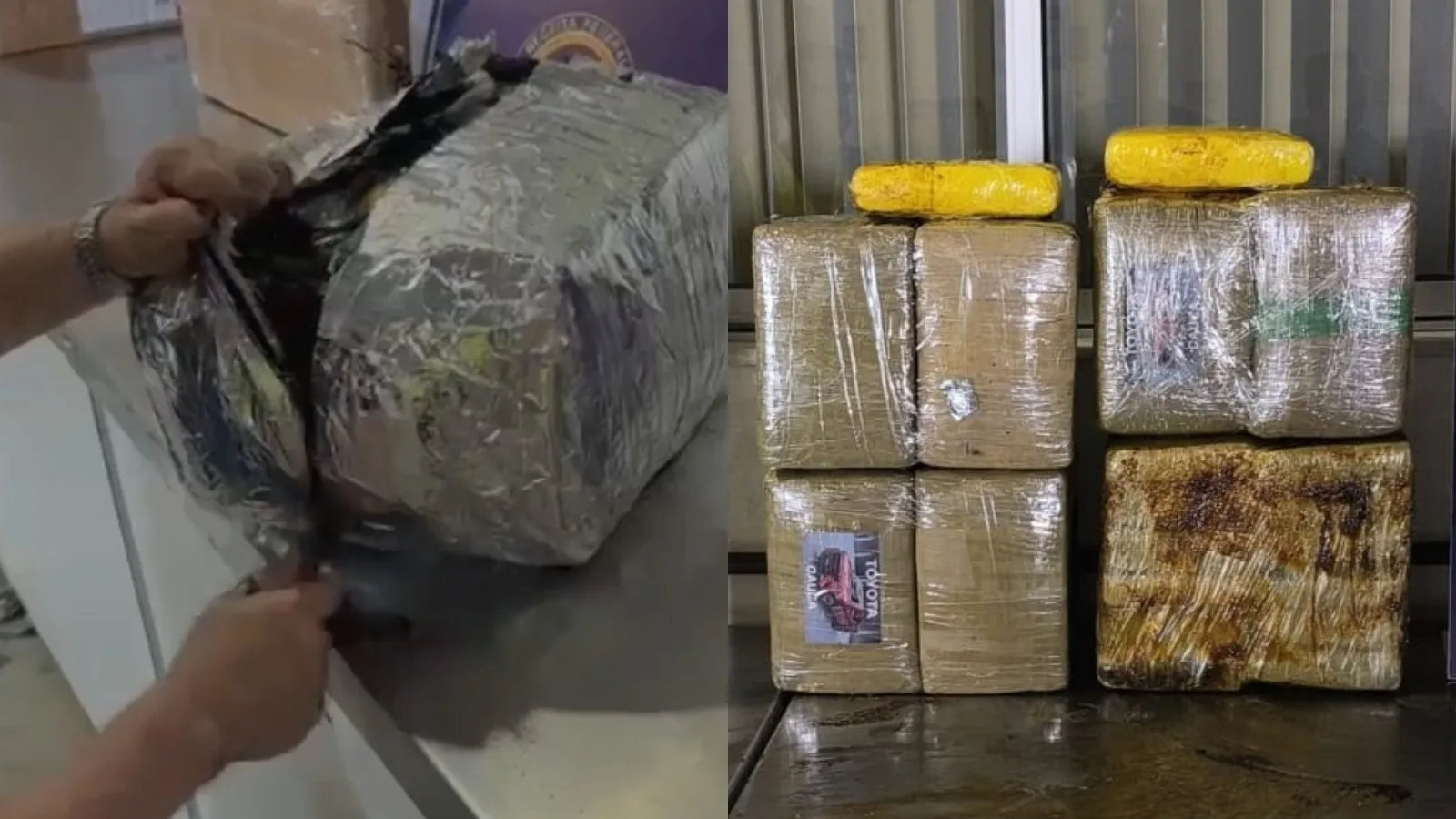 Receita Federal apreende cerca de 60 kg de skunk em cargas fiscalizadas em Fortaleza