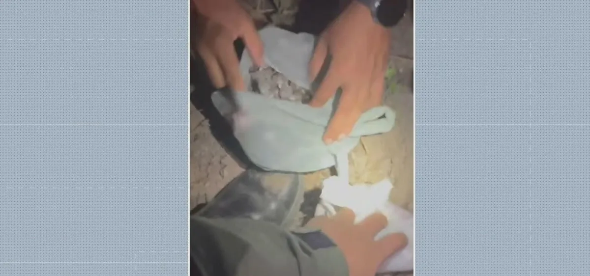 Polícia apreende revólver e drogas enterrados em terreno de Jaboatão