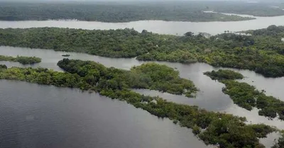 Pará registra 90 conflitos agrários no primeiro semestre de 2026