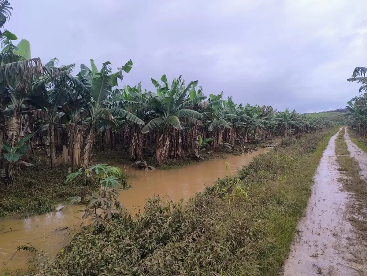 Vale do Ribeira terá linha de crédito para produtores atingidos por chuvas