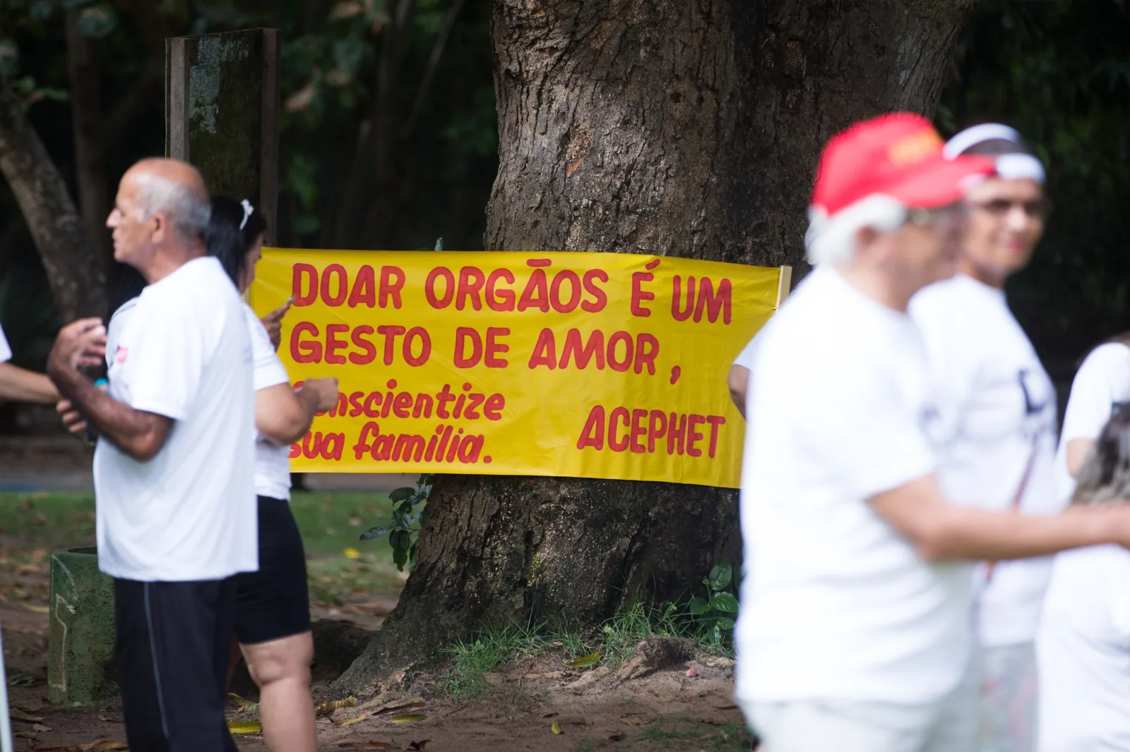Doação de órgãos pode ser registrada pela internet e na nova identidade