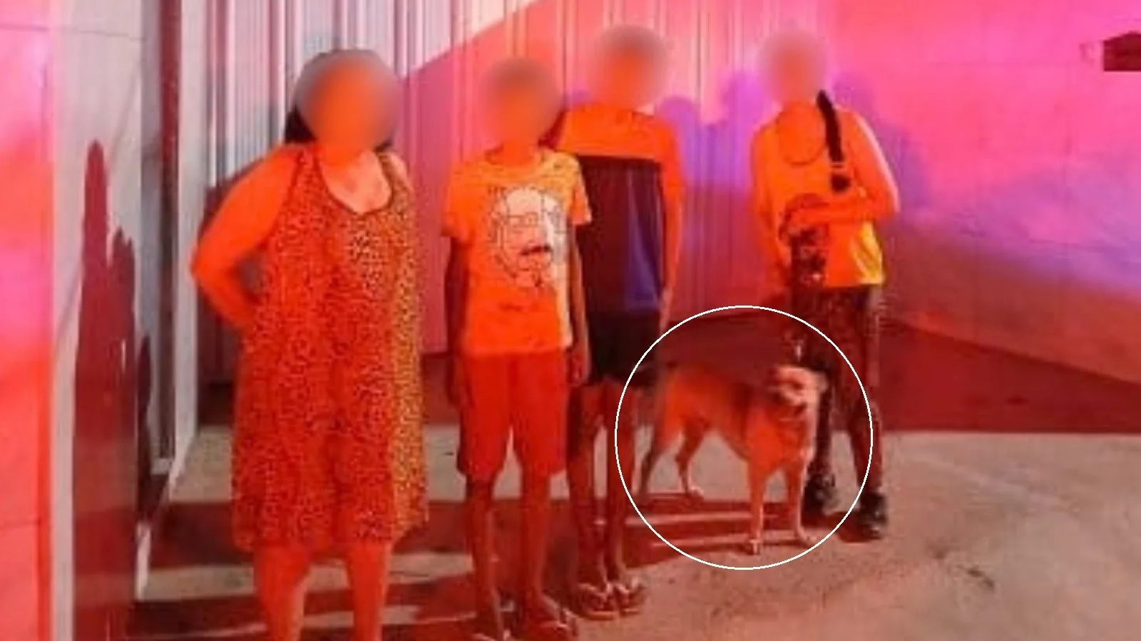 Latidos levam bombeiros até irmãos que se perderam em área de mata no Ceará