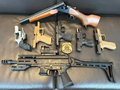 PF apreende fuzil e outras seis armas em endereços ligados a Mário Frias