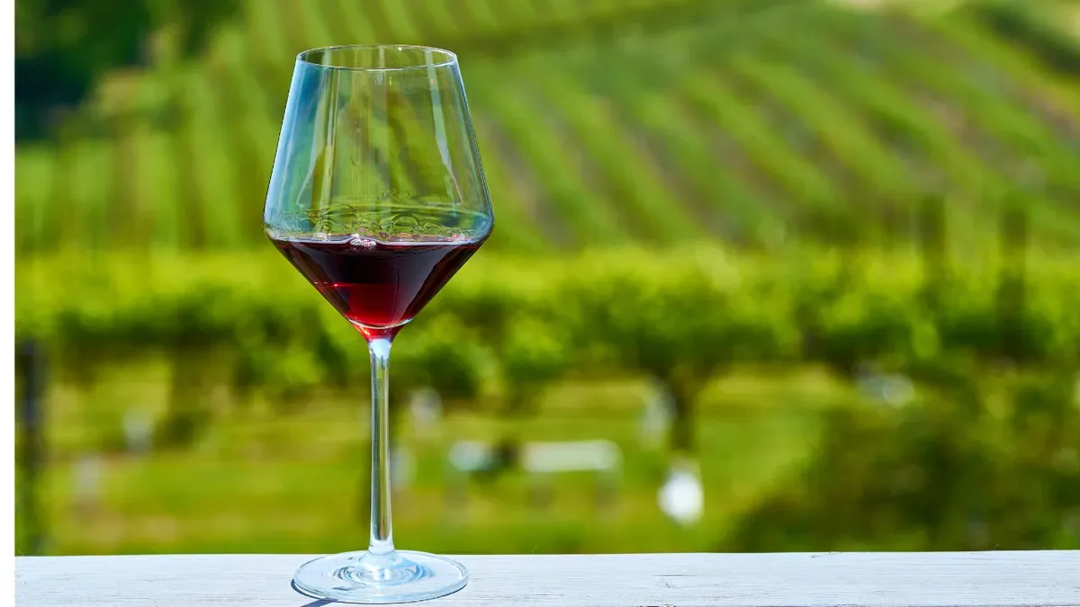 França prevê menor produção de vinho em 30 anos após calor e seca