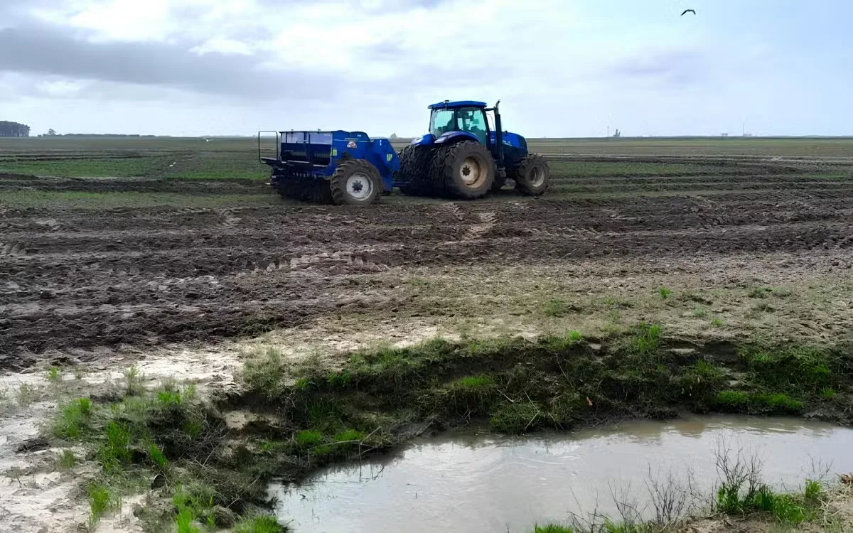 Crédito rural encolhe e eleva riscos para a safra 2026/27, diz Farsul
