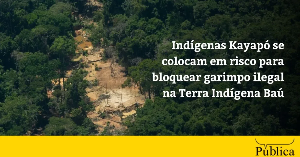 Kayapó bloqueiam acesso a garimpo ilegal na Terra Indígena Baú