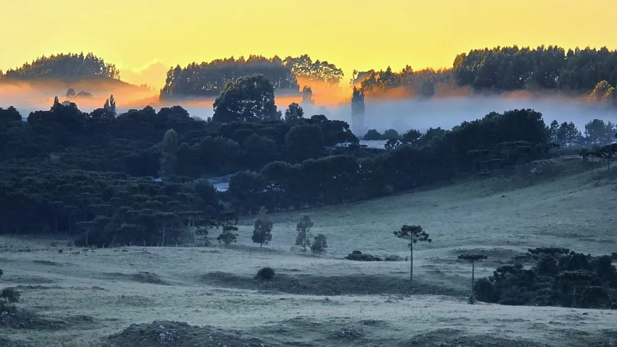 Frente fria leva chuva e queda de temperatura a várias regiões no feriado
