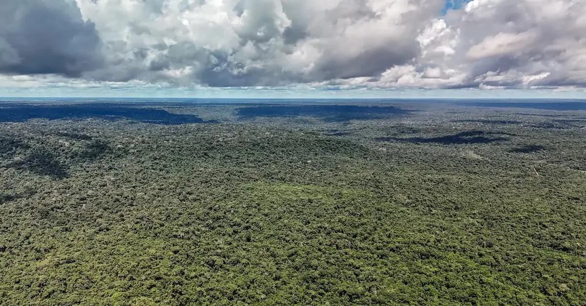Brasil poderá contratar US$ 1 bilhão do BID para o Eco Invest