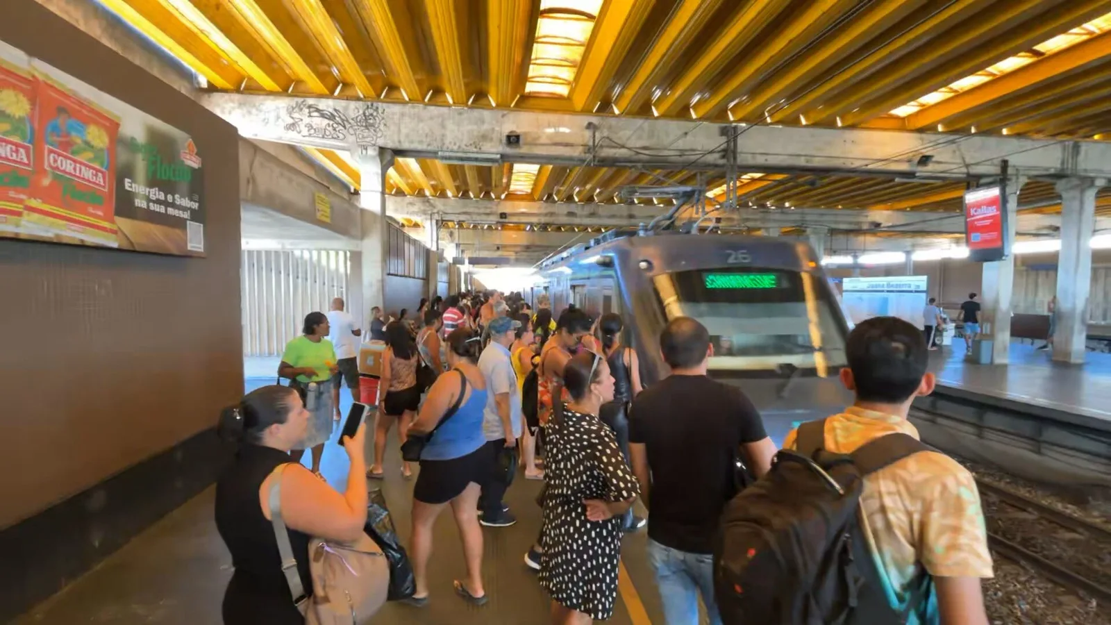 Linha Centro do Recife retoma operação após árvore atingir rede elétrica