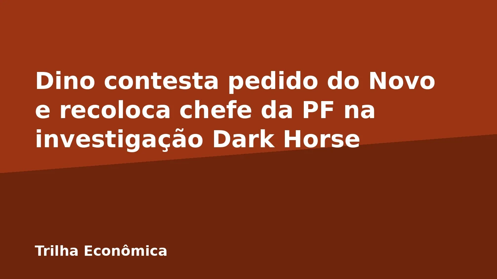 Dino contesta pedido do Novo e recoloca chefe da PF na investigação Dark Horse