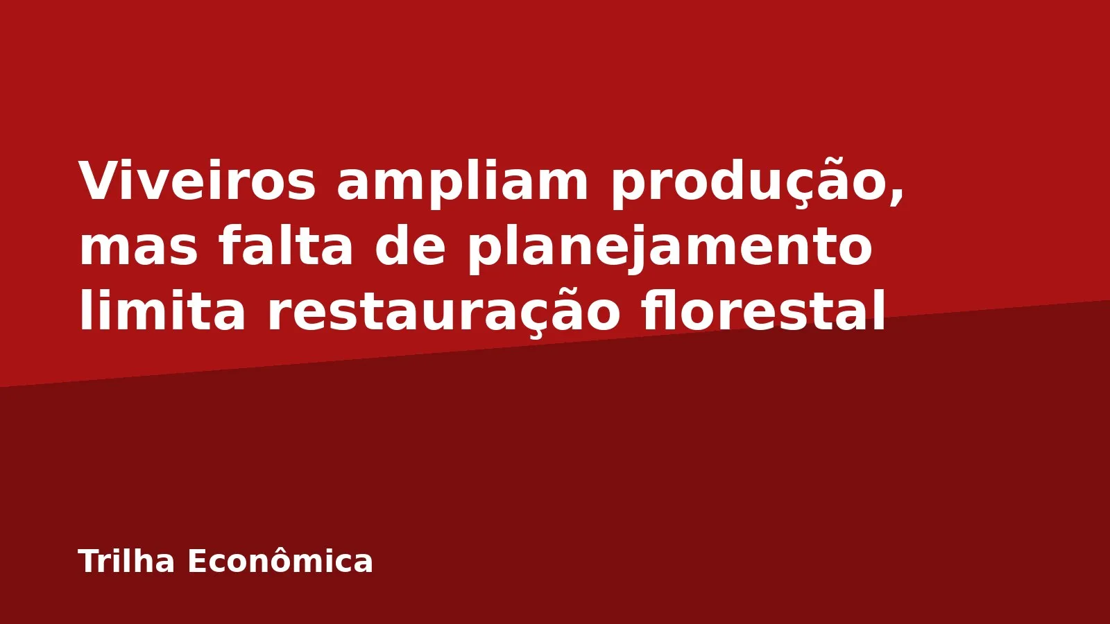 Viveiros ampliam produção, mas falta de planejamento limita restauração florestal