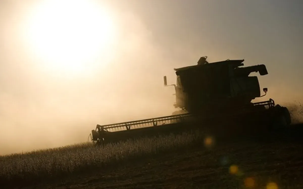 Riscos climáticos ignorados podem comprometer decisões das empresas de alimentos