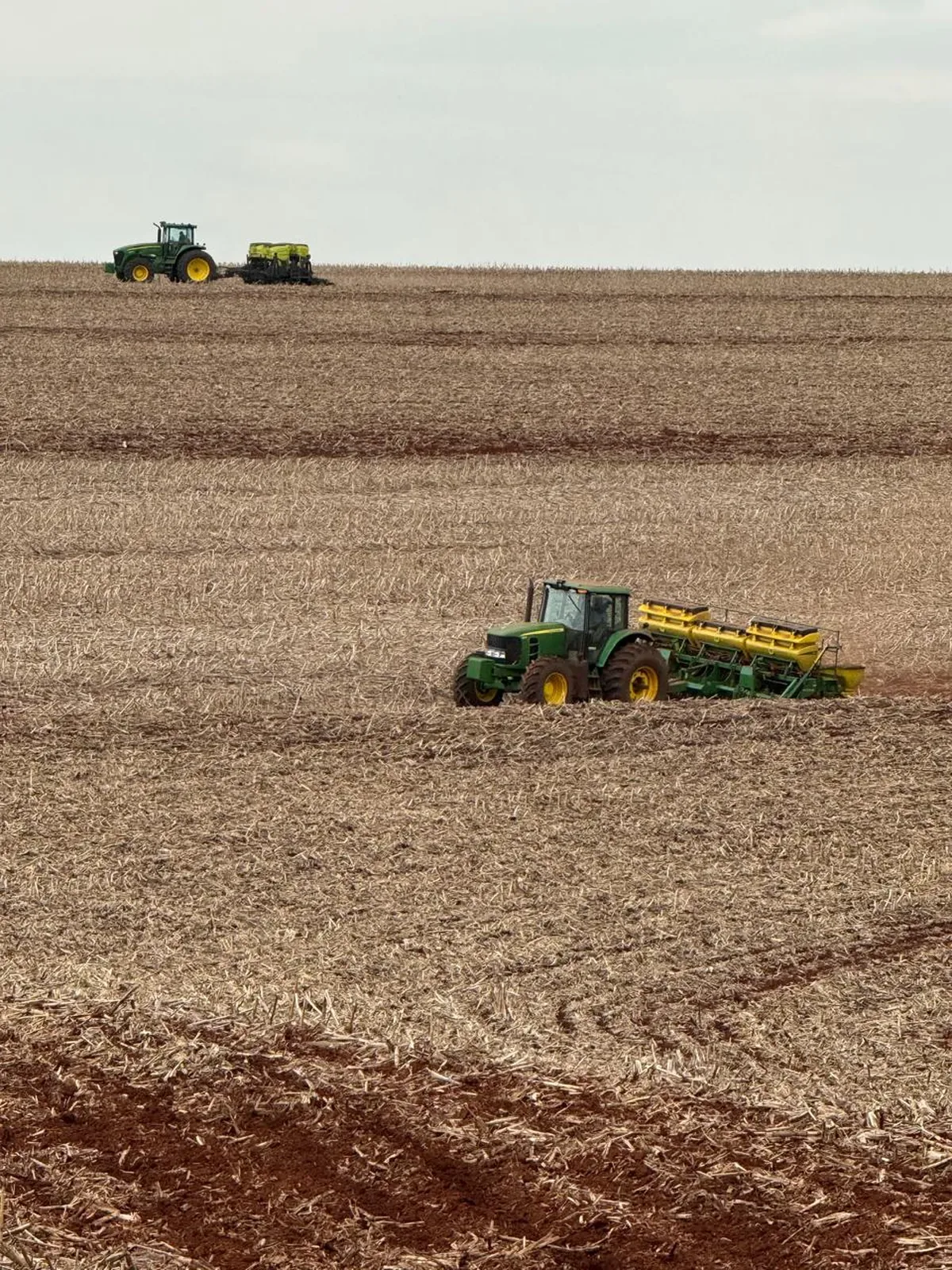 Plantio de soja avança no Paraná com abertura de quatro regiões