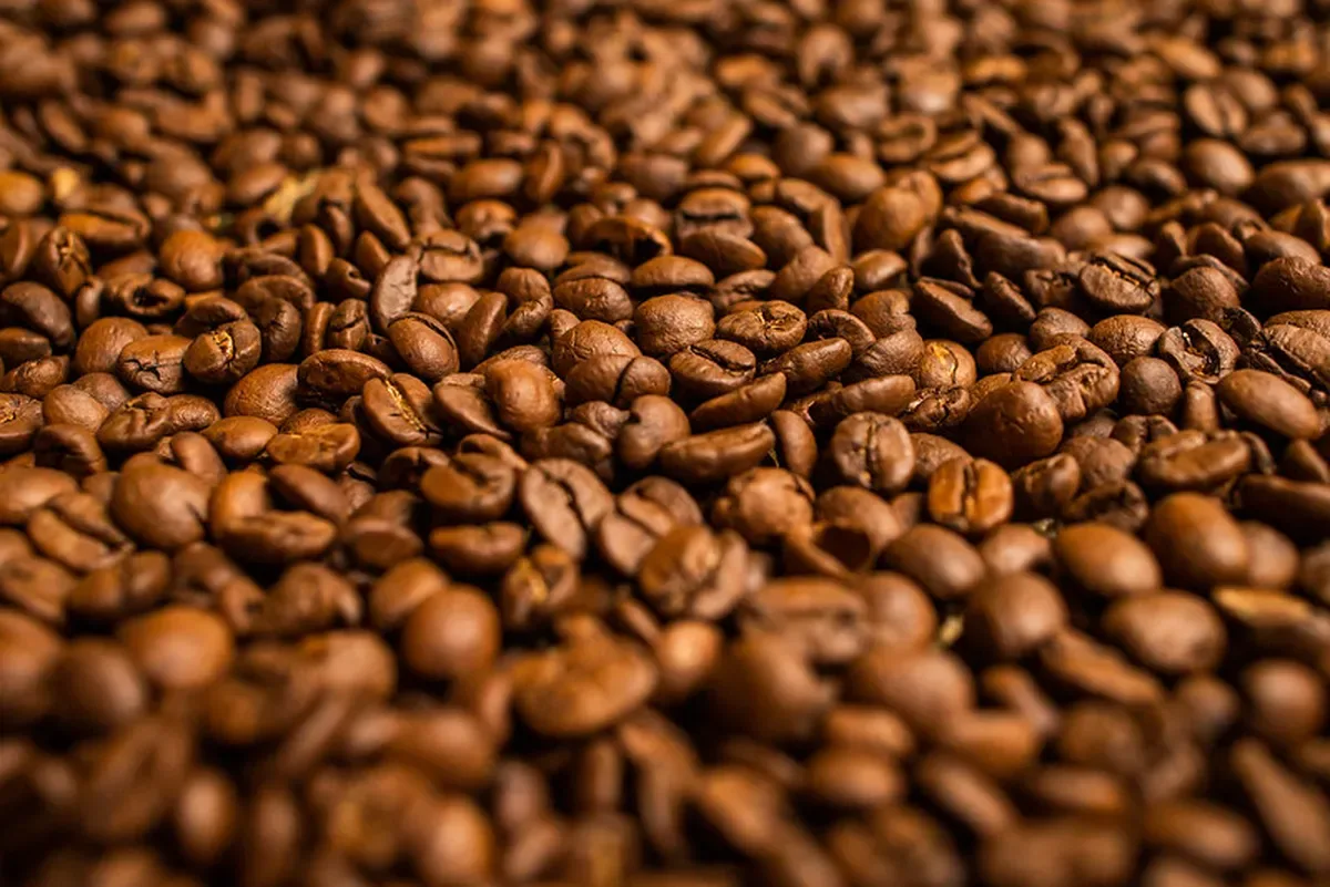 Café recua 2,11% em Nova York após avanço ligado ao clima seco