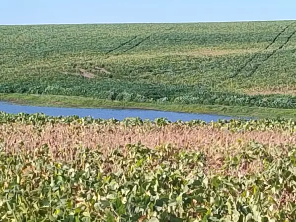 Senado aprova novas regras para seguro rural e Fundo Catástrofe