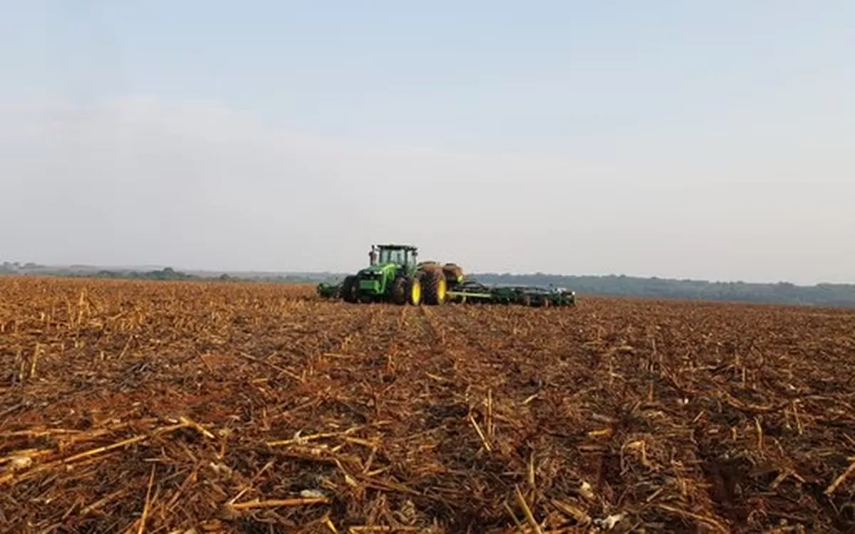 Mato Grosso inicia safra 2026/27 com avanço no plantio de soja