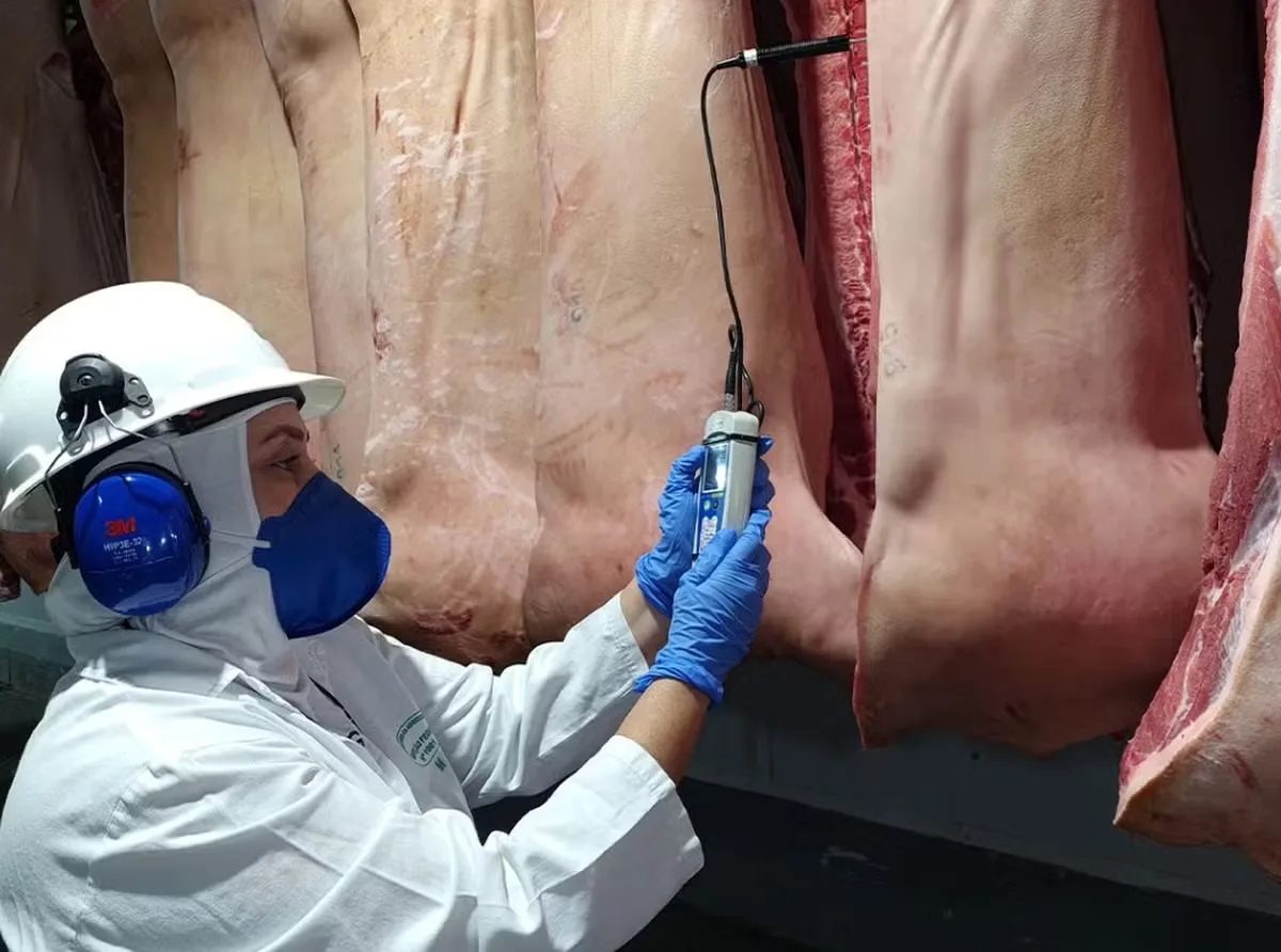 Técnicos chineses iniciam auditoria em unidades de carnes no Brasil
