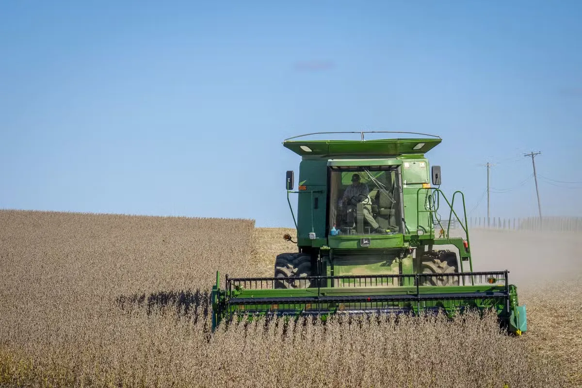 Soja cai 2,68% em Chicago após USDA elevar previsão de safra nos EUA