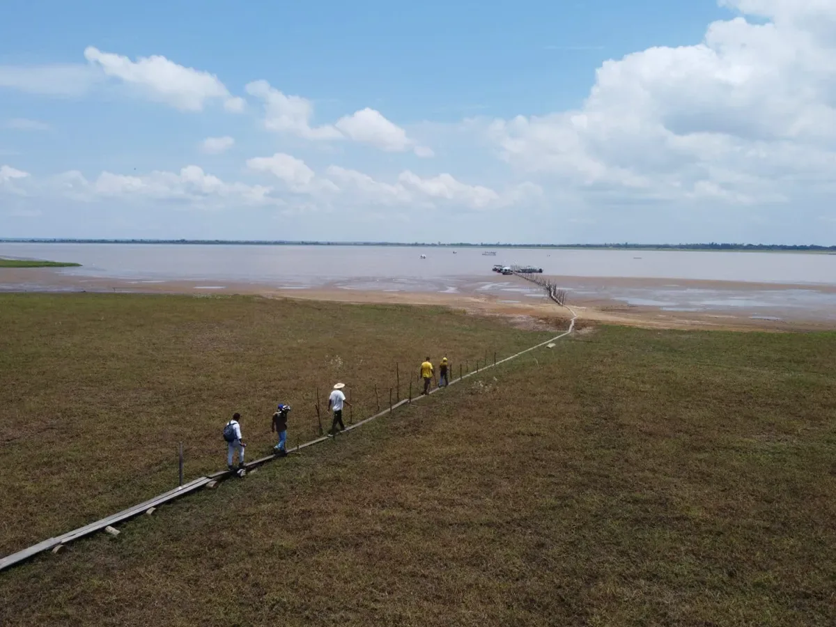Mapeamento aponta risco elevado de nova seca em áreas da Amazônia