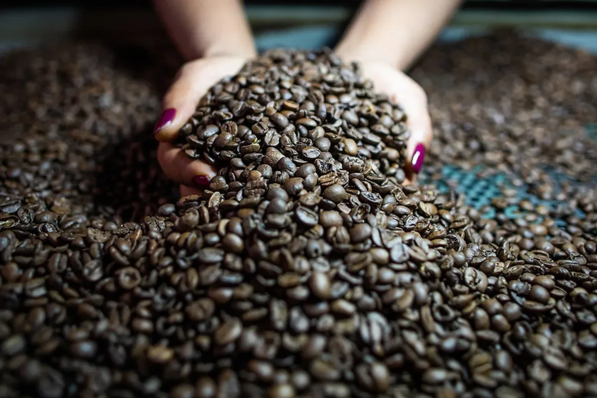 Cacau acompanha alta do café em Nova York nesta quarta-feira