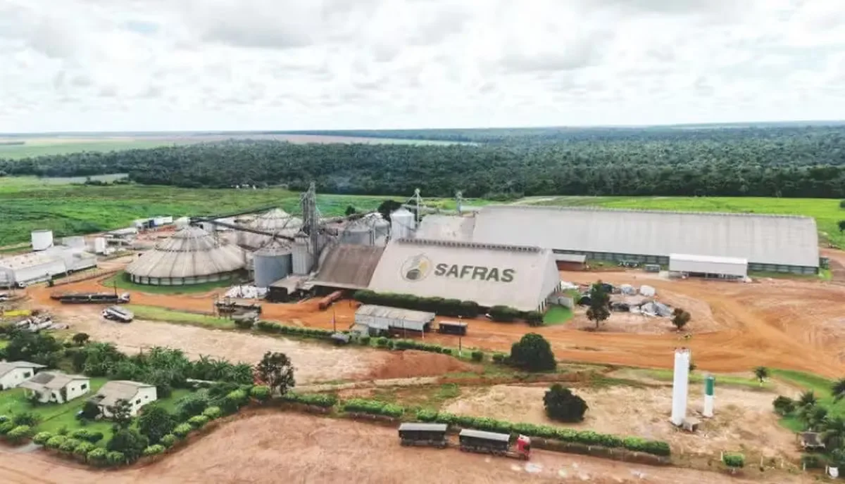 Credores aprovam nova gestão interina para empresas do Grupo Safras